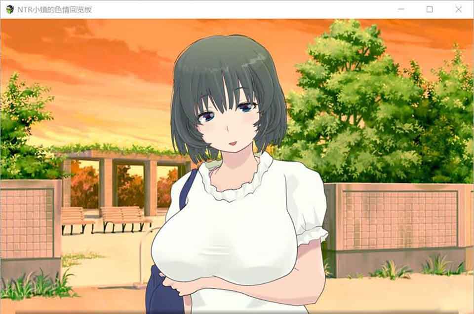 图片[1]-R6242 NTR小镇的涩情回览板~开门即H！[精翻完整汉化版][1G]-1288游戏网