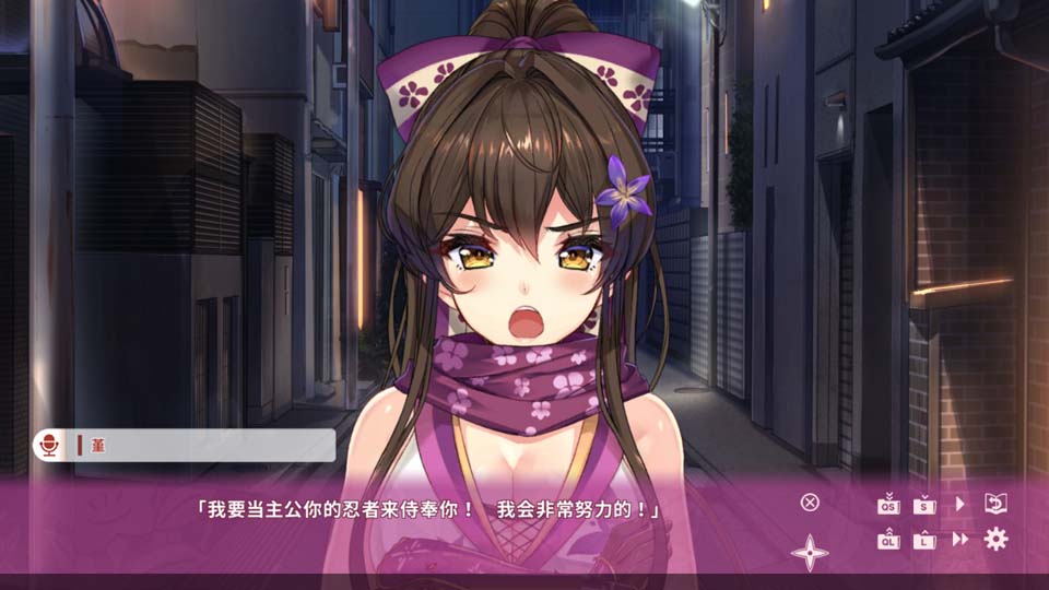 图片[1]-R2053 NinNinDays STEAM官中破解版/已打社保补丁-1288游戏网