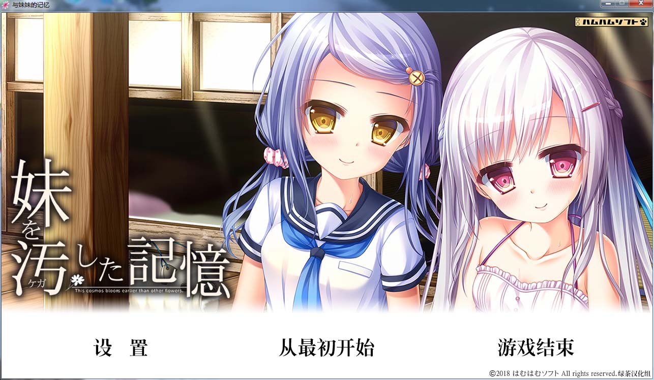 图片[1]-R358 【汉化】【硬盘】与妹妹的记忆-1288游戏网