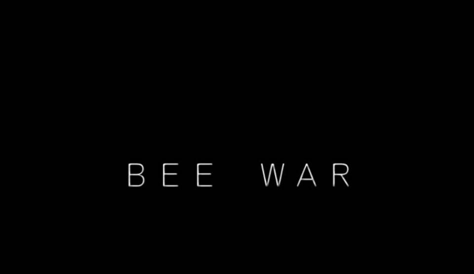 图片[1]-R2246 蜂之战 ：BEE WAR DL官方中文作弊版【200M】-1288游戏网
