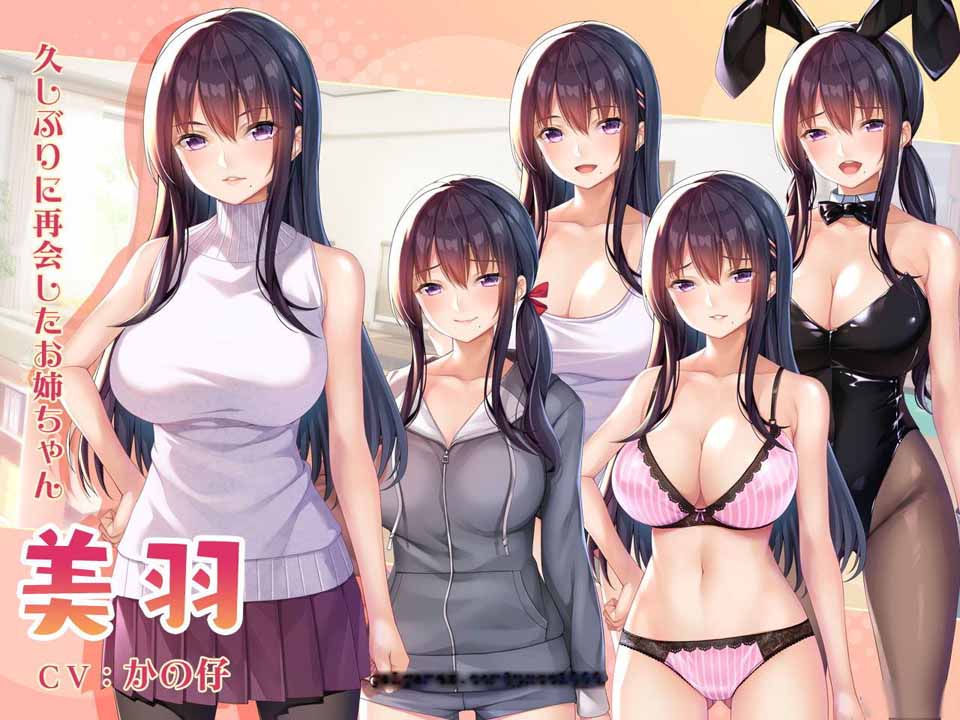 图片[1]-R2578 请停手吧姐姐大人！要断了！ 完整汉化版【2.9G】-1288游戏网