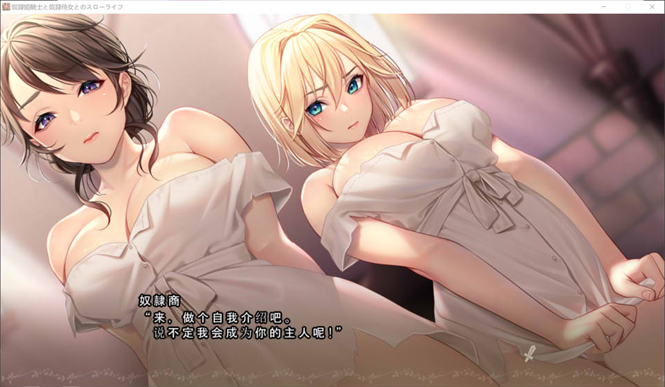 图片[2]-我与公主骑士及侍女的慢活生活 云翻汉化版+全存档★全CV[新汉化/1.7G]-1288游戏网