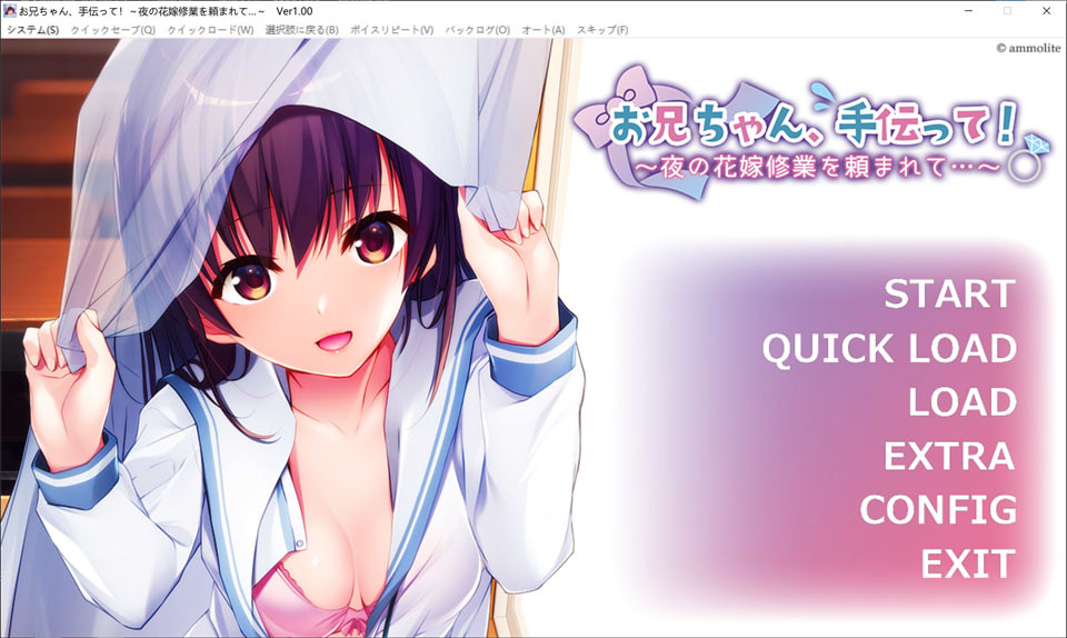 图片[1]-哥哥,帮帮我!~夜晚的新娘训练 AI汉化版+存档★全CV[新汉化/700M]-1288游戏网