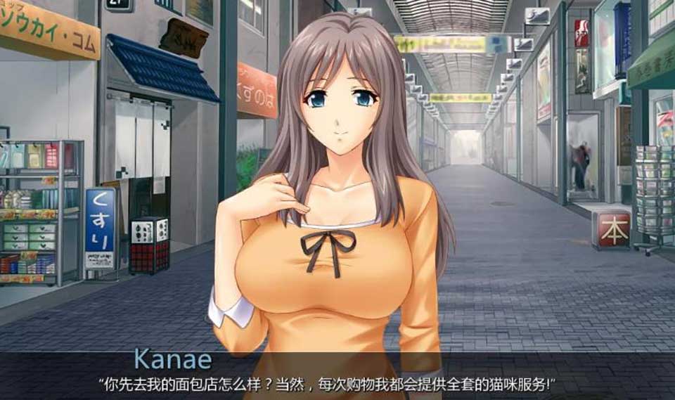 图片[1]-R3068 任意啪啪的商业街！汉化完结版+全CG【超多角色/PC+安卓】【1.3G】-1288游戏网