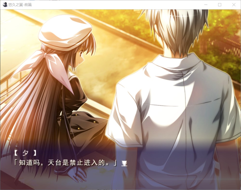 图片[2]-悠久之翼-前篇 官方中文版+全CG存档[新官中][1.9G]-1288游戏网
