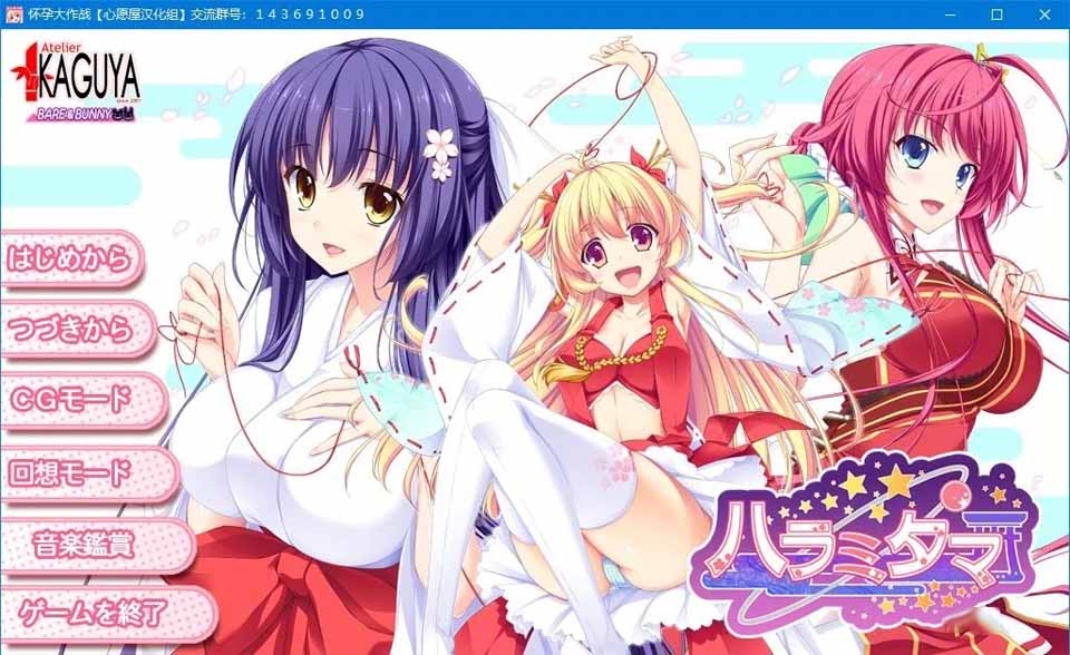 图片[1]-R5148 怀孕大作战[汉化硬盘版]-1288游戏网
